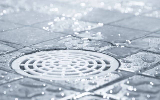 Drain Line Replacement
